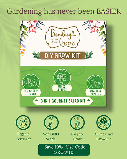 Bombay Green’s DIY Gardening Kit